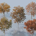 Five Arbor Trees With Colorful Leaves And Reflections On Water Surface 3d model