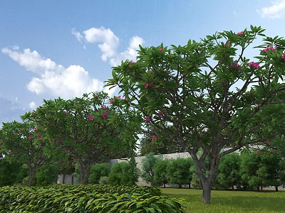 Municipal Road Landscaping With Trees Bearing Pink Flowers And Green Lawn 3d model