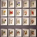 Vintage Botanical Paintings in White Frames Grid Arranged on Gray Wall 3d model
