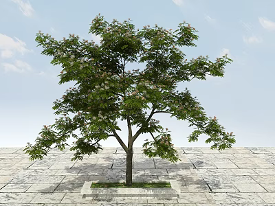 Lush Green Arbor With Dense Foliage And White Flowers On Stone Pavement Under Blue Sky 3d model