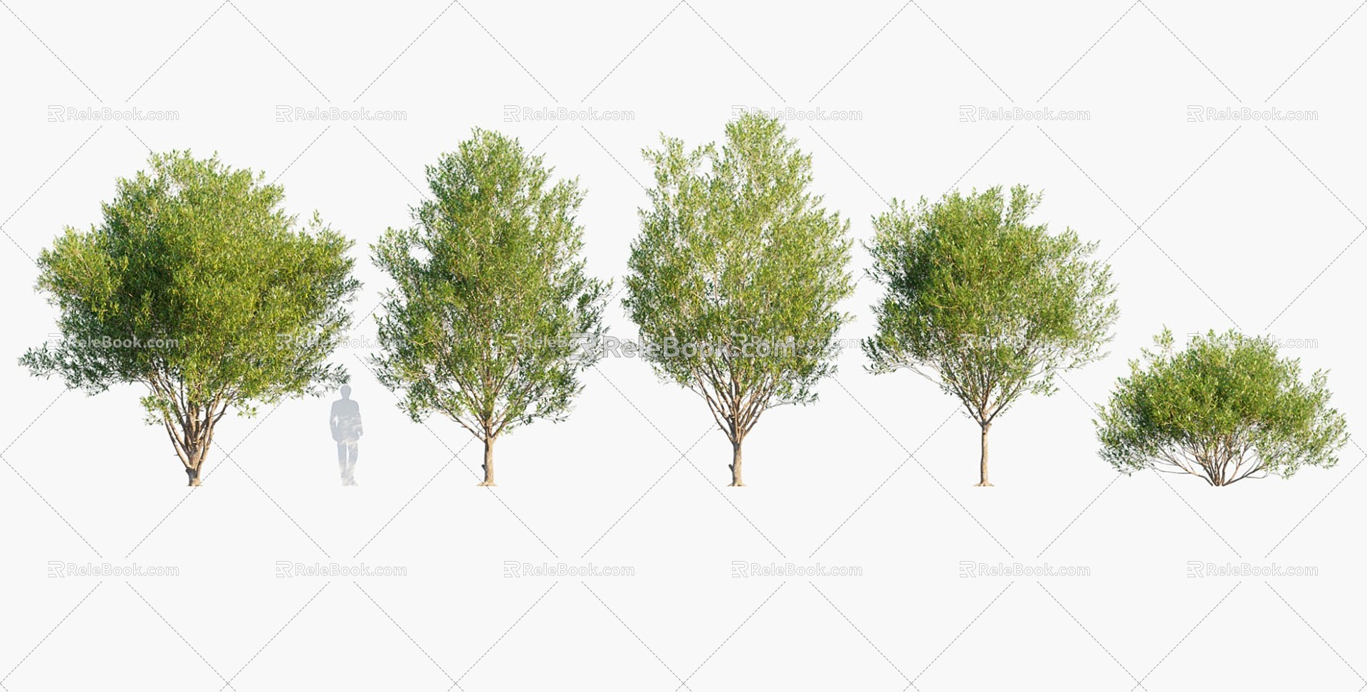 Plants Trees Big Trees Arbor 3d model