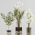 Transparent Vases With White Pompom Flowers Green Leaves And Wheat Like Plants In Light Background