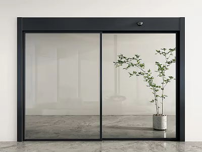 Modern Interior Featuring Black Frame Glass Sliding Door And Green Plant 3d model