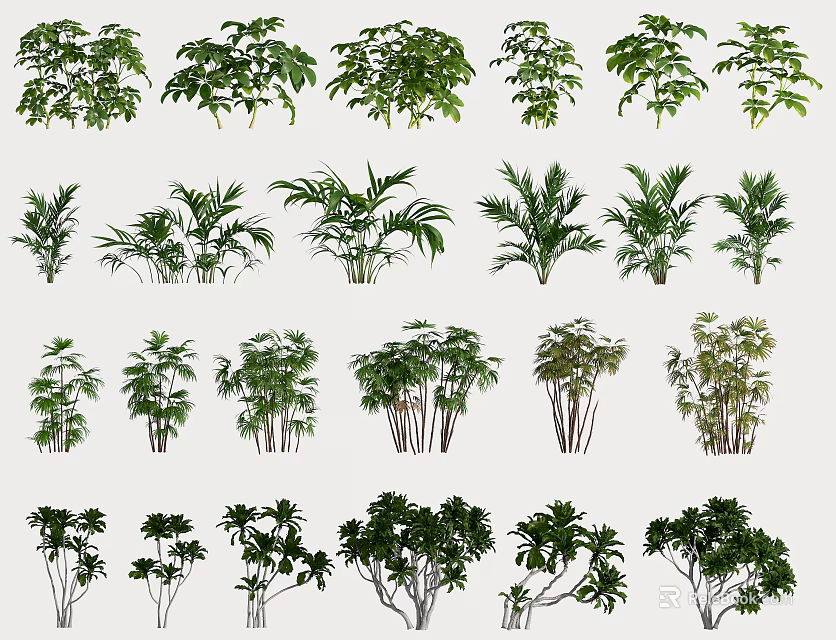 Indoor Green Plants Collection With Various Leafy Species For Home Decoration 3d model 