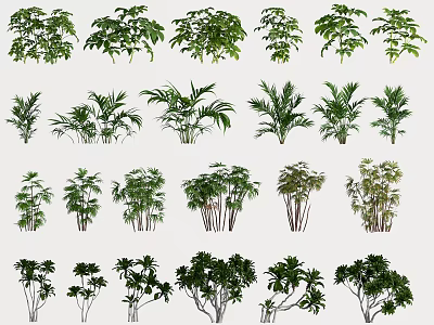 Indoor Green Plants Collection With Various Leafy Species For Home Decoration 3d model