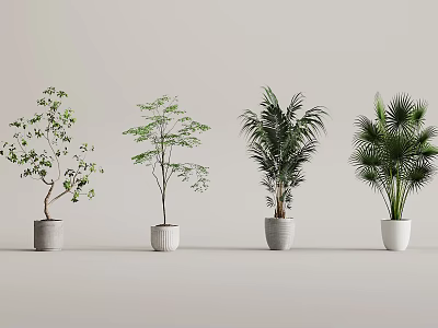 Bonsai Potted Plants of Various Types in White Pots Displayed on White Background 3d model