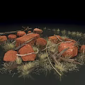Scenic Natural Landscape With Red Rocks Dry Grass And Dead Wood Elements
