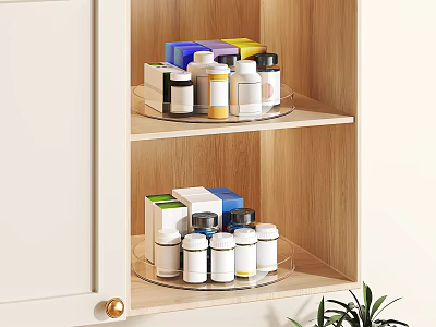 Wooden Storage Cabinet With White Door Glass Shelves Medicine Bottles Boxes And Side Green Plant 3d model