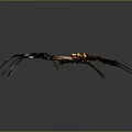 Detailed View Of Large Spider With Yellow Black Striped Body And Long Legs