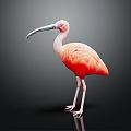 Modern Flamingo 3d model