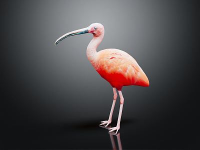 Modern Flamingo 3d model