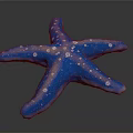 Blue Starfish With White Spots On Textured Surface Against Dark Background