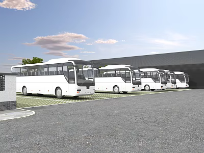Parking Lot With Multiple White Buses Parked On Gray Paved Surface Under Blue Sky 3d model