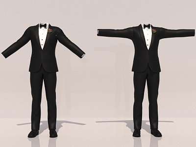 Suit Men's Gown model