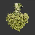 Fresh Green Romanesco Broccoli With Unique Spiral Pattern On Black Background 3d model