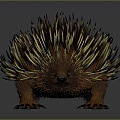 Modern Hedgehog Cartoon Hedgehog Animation Hedgehog 3d model