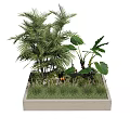 Natural Concrete Tree Pit With Palm Trees Large Leaf Plants And Green Grass