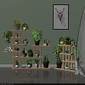 Indoor Garden Plant Display With Wooden Multi tiered Shelves And Green Potted Plants