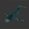 Blue Whale With Smooth Blue Body White Spots And Raised Tail Against Gray Background