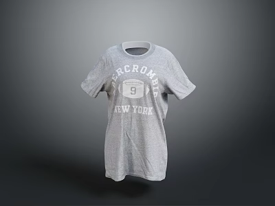 Classic Gray T-shirt With Circumference 9 Print And New York Design 3d model