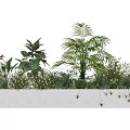 Bonsai Potted Plants in Long Rectangular Planter with Palm Succulents White Flowers Hanging Vines