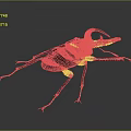 Detailed Maroon Rhinoceros Beetle With Large Curved Horn On Dark Background