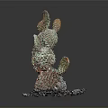 Artistic Colorful Cactus Plant With Multiple Branches And Decorative Stones Base