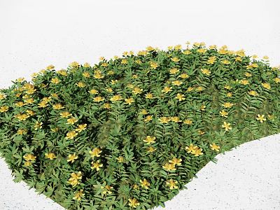 Modern Weeds Green Planting Small Grasses Outdoor Weeds Heap Shrubs Flowering Vegetation Courtyard Flowers Weeds Grass 3d model