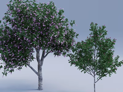 Two Deciduous Trees With Purple Flowers And Green Foliage In Natural Outdoor Scene 3d model