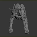 Detailed Dog Skeleton 3D Model With Realistic Bone Structure And Digital Rendering