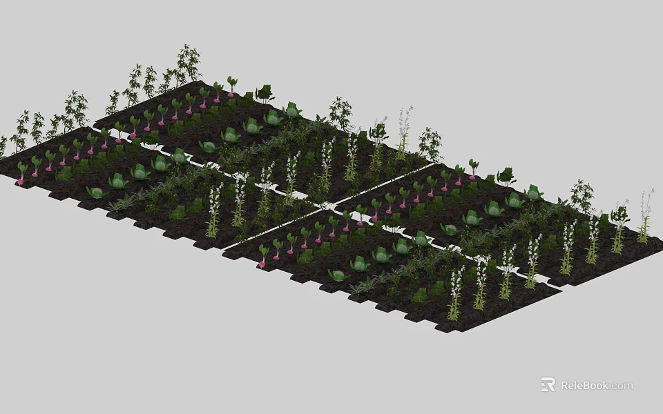 Diverse Crop Plants Growing In Organized Garden Beds With Green Leafy Vegetables 3d model 