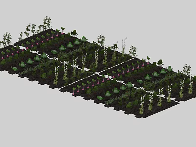 Diverse Crop Plants Growing In Organized Garden Beds With Green Leafy Vegetables 3d model
