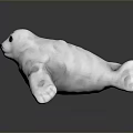 Cute White Baby Seal 3D Model Lying On Dark Surface With Soft Reflection