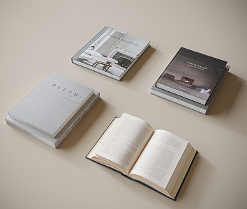 Modern Books 3d model