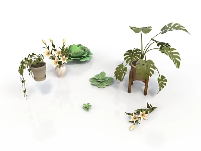 Indoor Potted Plants Collection With Monstera Succulents Hanging Flowers And Wooden Stand 3d model