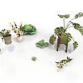 Indoor Potted Plants Collection With Monstera Succulents Hanging Flowers And Wooden Stand