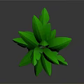 Small Potted Palm Tree With Green Leaves And Brown Trunk For Indoor Decor