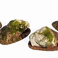 Moss Covered Stone Decorations With Natural Wood Base And Rustic Texture 3d model