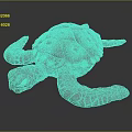 Modern Turtle Cartoon Turtle 3d model