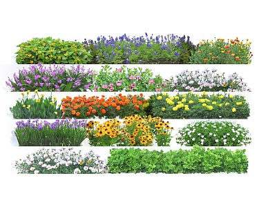 Modern flowers, flowers, grass and ground cover plants 3d model