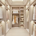 Modern Walk in Closet Design With Neat Clothes And Proper Lighting