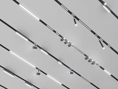 Modern LED Ceiling Track Mounted Downlights And Spotlights Lighting Design 3d model