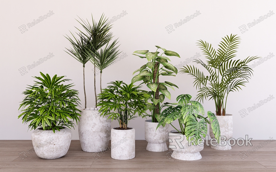 Plant potted combination shrubs and flowers indoor green plant decoration model