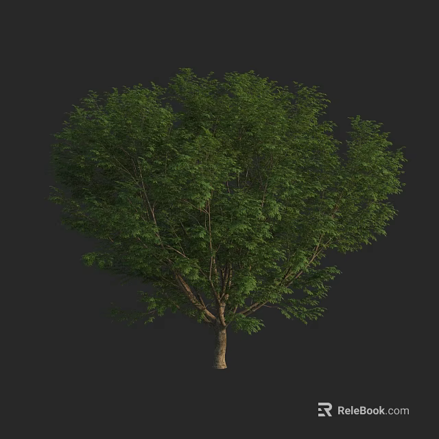 Lush Green Arbor With Dense Foliage And Brown Trunk In Natural Setting 3d model