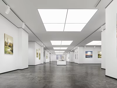 Long Art Gallery Interior With White Walls Hanging Paintings Dark Flooring And Ceiling Lights 3d model
