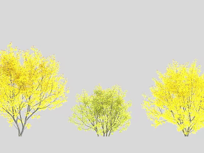 Three Arbor Trees With Yellow And Green Foliage On Gray Background 3d model