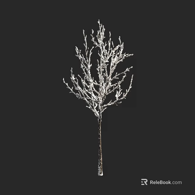 Single Leafless Arbor with Bare Branches Isolated on Black Background 3d model