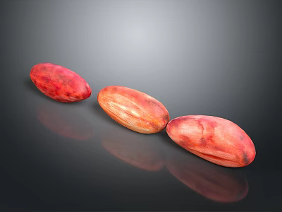 Three Red Brown Oval Cocoa Beans Arranged On Black Surface With Reflections 3d model