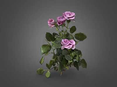Decorative Vase with Purple Roses and Green Leaves Fresh Floral Arrangement 3d model