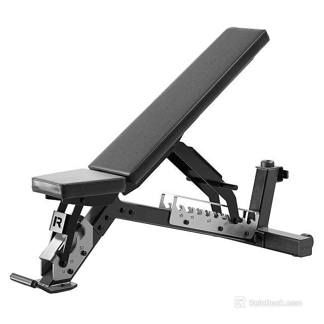 Adjustable Sports Equipment Fitness Bench With Heavy Duty Frame And Multiple Positions For Home Gym 3d model 